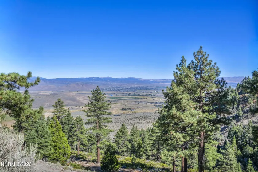 2960 Jacks Valley, Genoa, Nevada 89411, ,Land,Residential,Jacks Valley,0,260011747