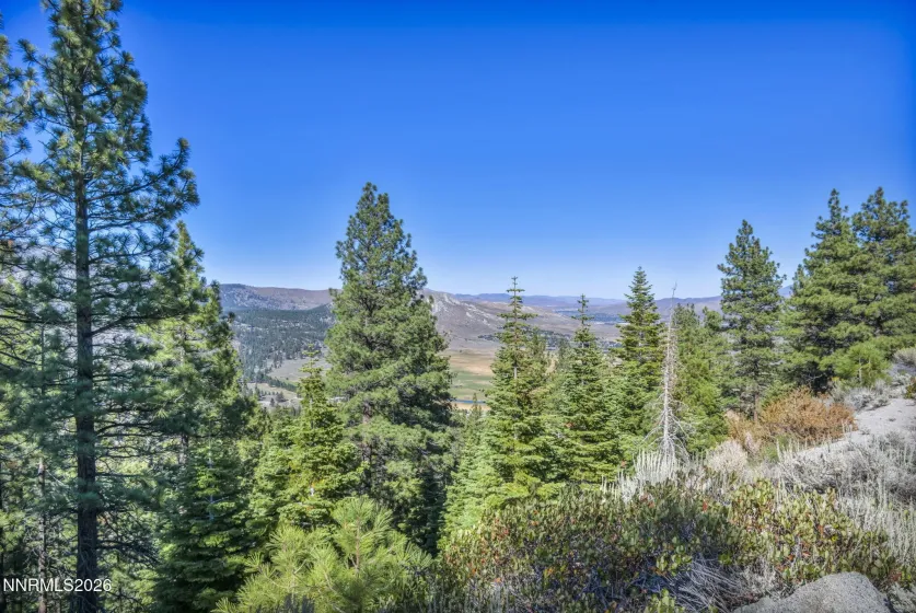2960 Jacks Valley, Genoa, Nevada 89411, ,Land,Residential,Jacks Valley,0,260011747