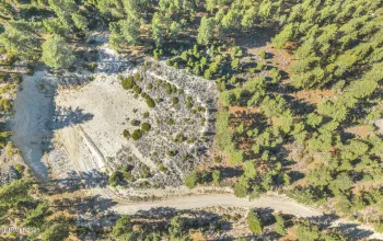 2960 Jacks Valley, Genoa, Nevada 89411, ,Land,Residential,Jacks Valley,0,260011747
