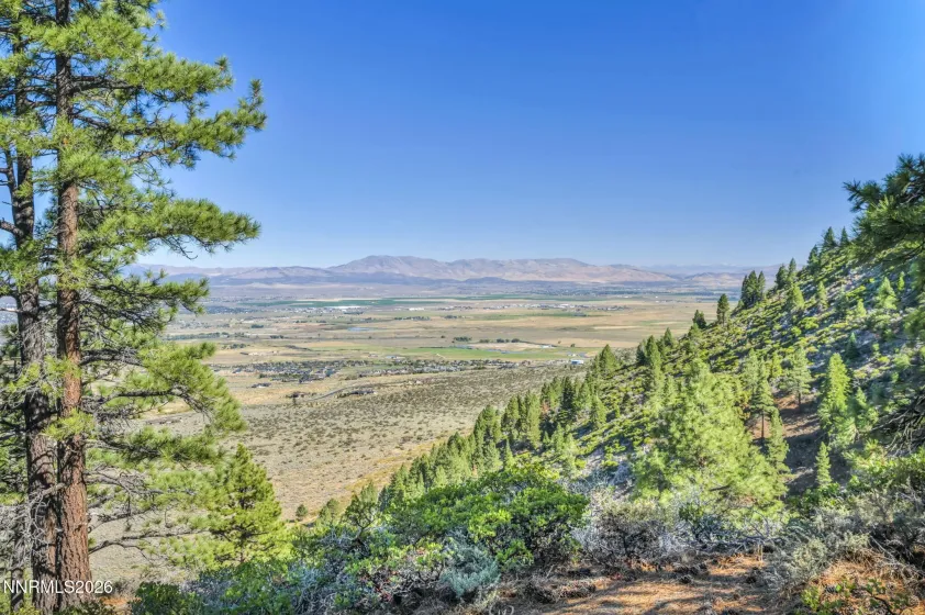 2960 Jacks Valley, Genoa, Nevada 89411, ,Land,Residential,Jacks Valley,0,260011747