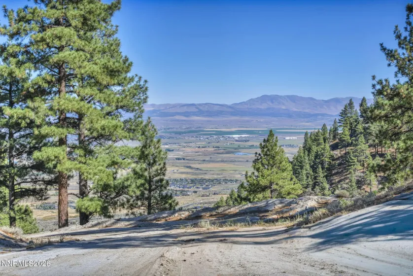 2960 Jacks Valley, Genoa, Nevada 89411, ,Land,Residential,Jacks Valley,0,260011747