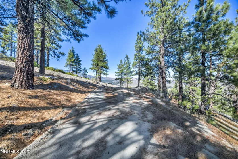2960 Jacks Valley, Genoa, Nevada 89411, ,Land,Residential,Jacks Valley,0,260011747