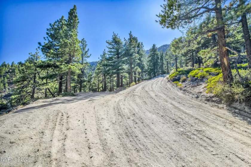 2960 Jacks Valley, Genoa, Nevada 89411, ,Land,Residential,Jacks Valley,0,260011747