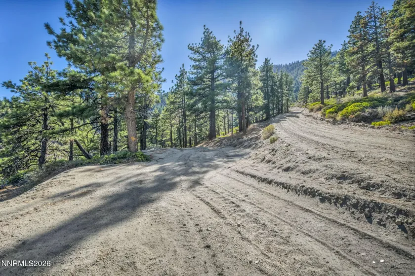 2960 Jacks Valley, Genoa, Nevada 89411, ,Land,Residential,Jacks Valley,0,260011747