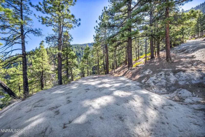 2960 Jacks Valley, Genoa, Nevada 89411, ,Land,Residential,Jacks Valley,0,260011747