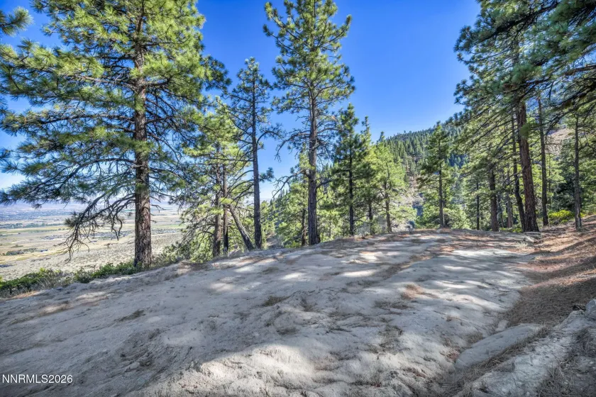 2960 Jacks Valley, Genoa, Nevada 89411, ,Land,Residential,Jacks Valley,0,260011747