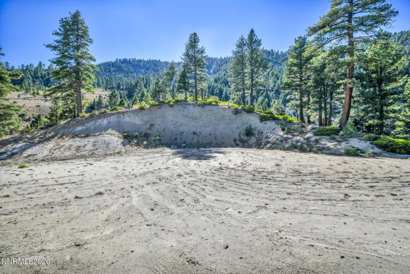 2960 Jacks Valley, Genoa, Nevada 89411, ,Land,Residential,Jacks Valley,0,260011747