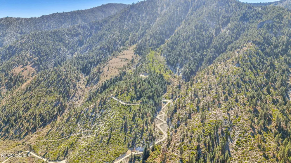 2960 Jacks Valley, Genoa, Nevada 89411, ,Land,Residential,Jacks Valley,0,260011747