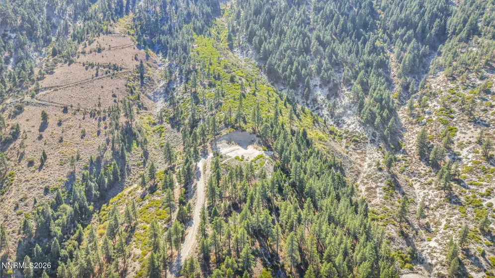 2960 Jacks Valley, Genoa, Nevada 89411, ,Land,Residential,Jacks Valley,0,260011747