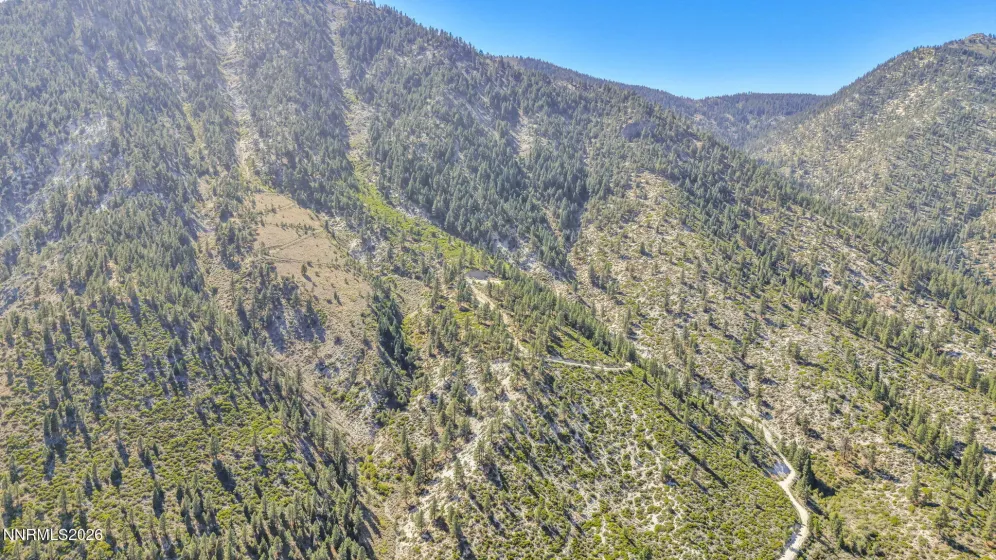 2960 Jacks Valley, Genoa, Nevada 89411, ,Land,Residential,Jacks Valley,0,260011747