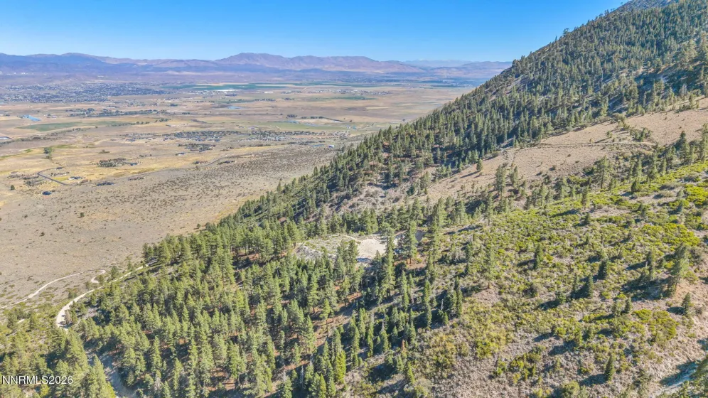 2960 Jacks Valley, Genoa, Nevada 89411, ,Land,Residential,Jacks Valley,0,260011747