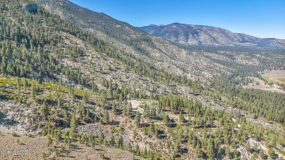 2960 Jacks Valley, Genoa, Nevada 89411, ,Land,Residential,Jacks Valley,0,260011747
