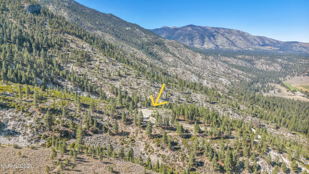 2960 Jacks Valley, Genoa, Nevada 89411, ,Land,Residential,Jacks Valley,0,260011747