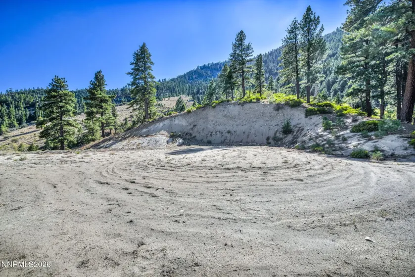 2960 Jacks Valley, Genoa, Nevada 89411, ,Land,Residential,Jacks Valley,0,260011747