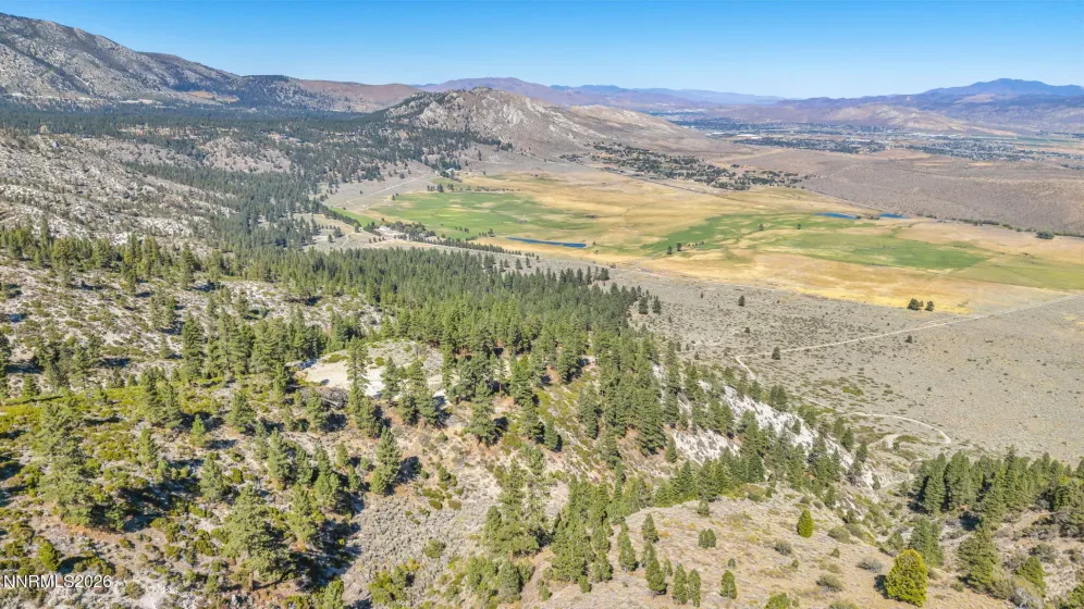 2960 Jacks Valley, Genoa, Nevada 89411, ,Land,Residential,Jacks Valley,0,260011747