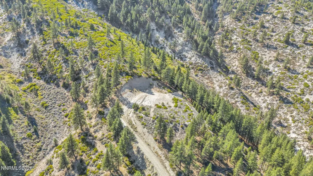 2960 Jacks Valley, Genoa, Nevada 89411, ,Land,Residential,Jacks Valley,0,260011747