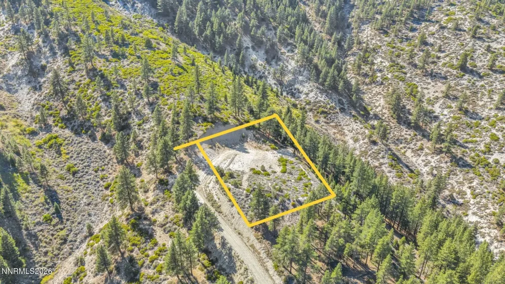 2960 Jacks Valley, Genoa, Nevada 89411, ,Land,Residential,Jacks Valley,0,260011747