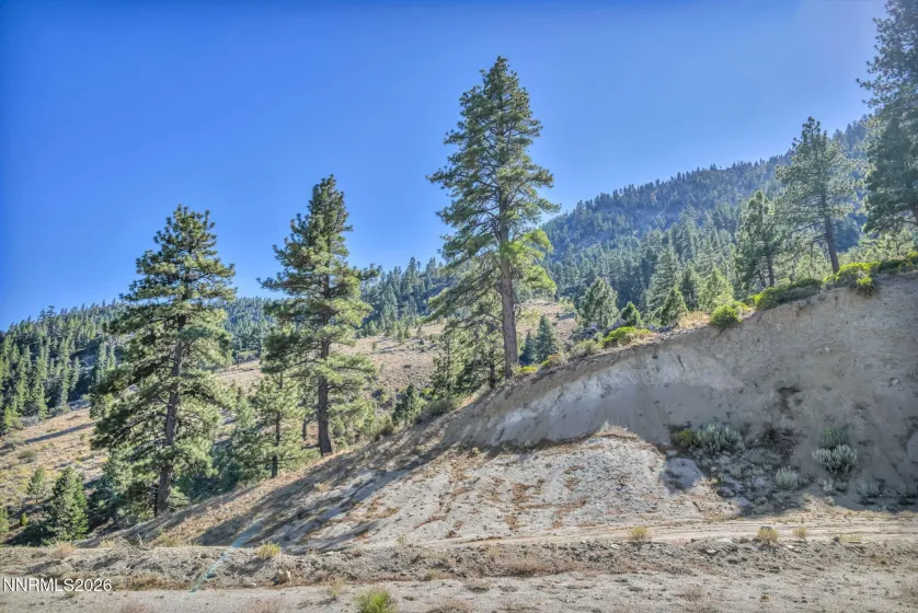 2960 Jacks Valley, Genoa, Nevada 89411, ,Land,Residential,Jacks Valley,0,260011747