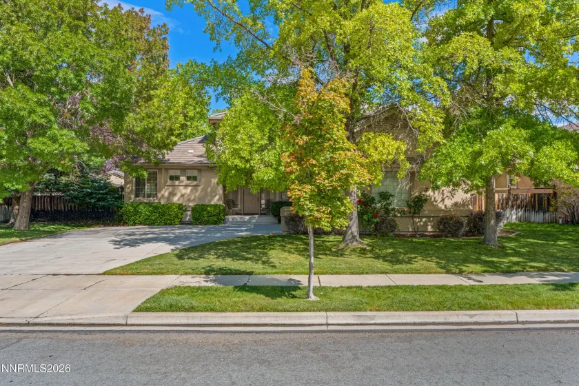 front yard