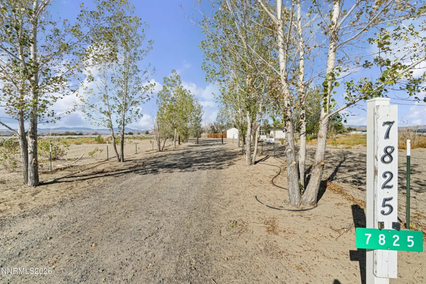 2965 8th, Silver Springs, Nevada 89429, 3 Bedrooms Bedrooms, ,2 BathroomsBathrooms,Residential,Residential,8th,0,260011910