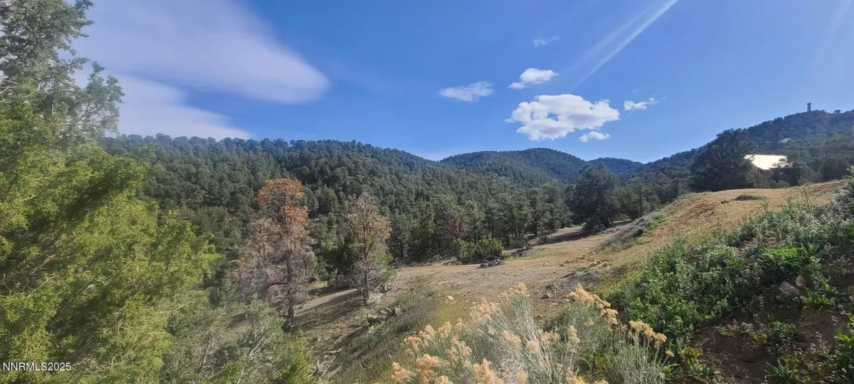 21685 Palamino, Reno, Nevada 89521, ,Land,Residential,Palamino,0,260011916