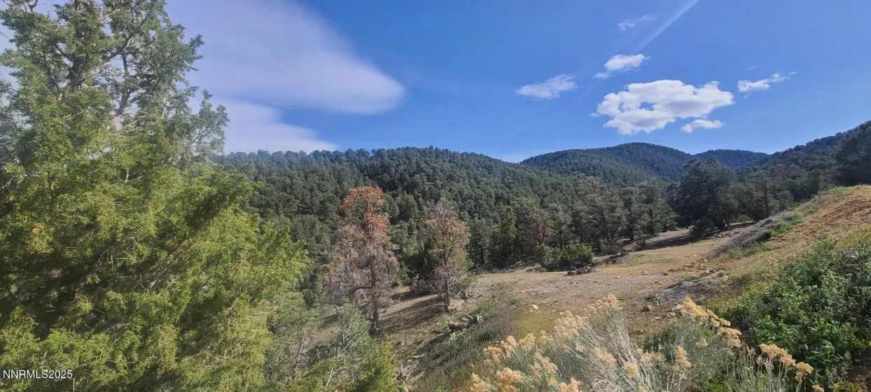 21685 Palamino, Reno, Nevada 89521, ,Land,Residential,Palamino,0,260011916