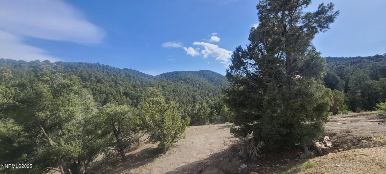 21685 Palamino, Reno, Nevada 89521, ,Land,Residential,Palamino,0,260011916