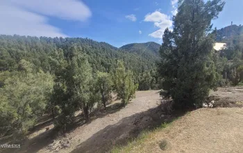 21685 Palamino, Reno, Nevada 89521, ,Land,Residential,Palamino,0,260011916