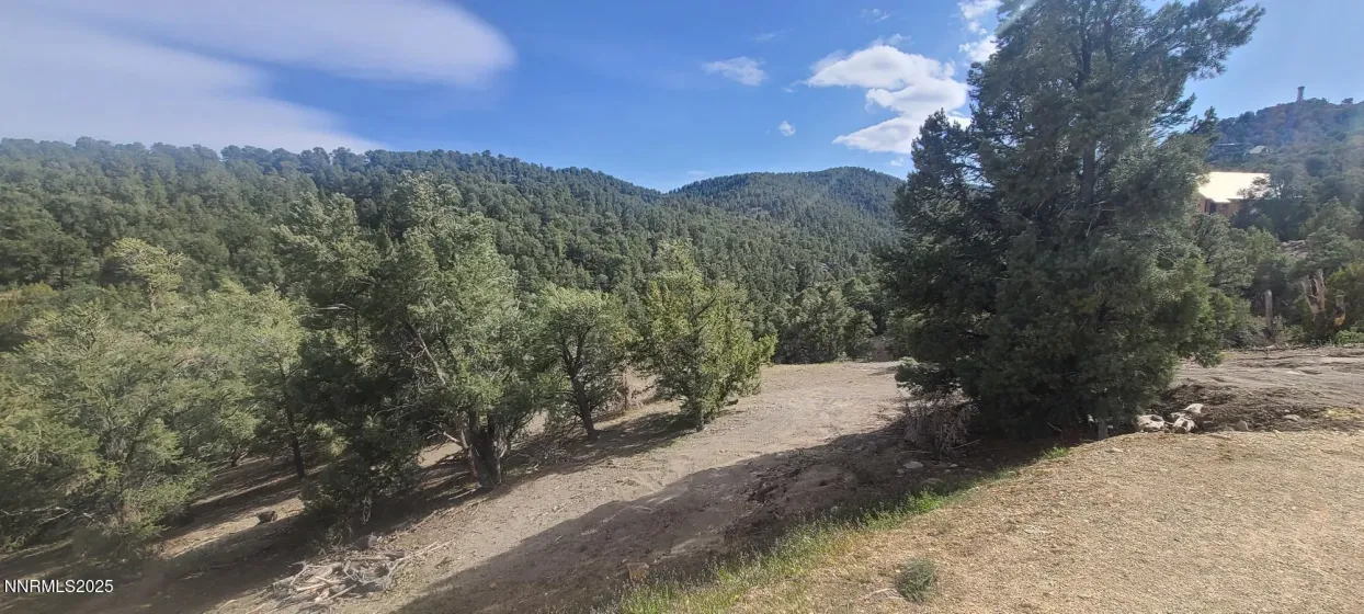 21685 Palamino, Reno, Nevada 89521, ,Land,Residential,Palamino,0,260011916