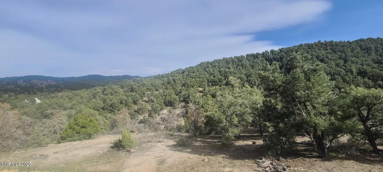 21685 Palamino, Reno, Nevada 89521, ,Land,Residential,Palamino,0,260011916