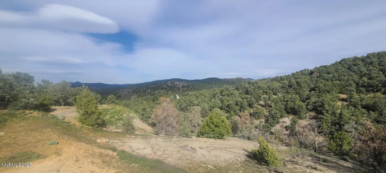 21685 Palamino, Reno, Nevada 89521, ,Land,Residential,Palamino,0,260011916