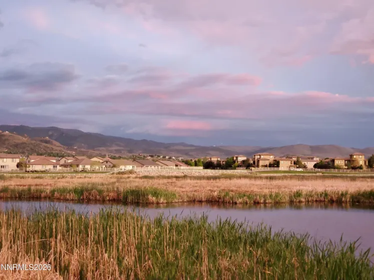 10240 Culiacan Pass, Reno, Nevada 89521, 4 Bedrooms Bedrooms, ,4 BathroomsBathrooms,Residential,Residential,Culiacan Pass,0,260011933