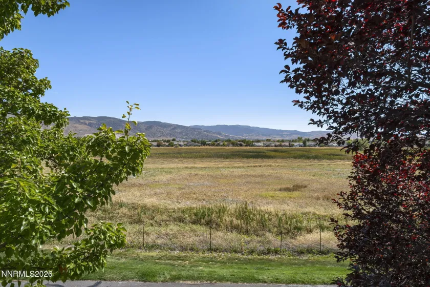 900 Meadows, Reno, Nevada 89521, 3 Bedrooms Bedrooms, ,2 BathroomsBathrooms,Residential,Residential,Meadows,0,260011996