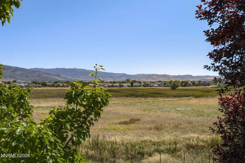 900 Meadows, Reno, Nevada 89521, 3 Bedrooms Bedrooms, ,2 BathroomsBathrooms,Residential,Residential,Meadows,0,260011996