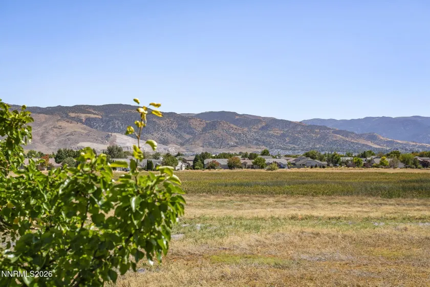 900 Meadows, Reno, Nevada 89521, 3 Bedrooms Bedrooms, ,2 BathroomsBathrooms,Residential,Residential,Meadows,0,260011996