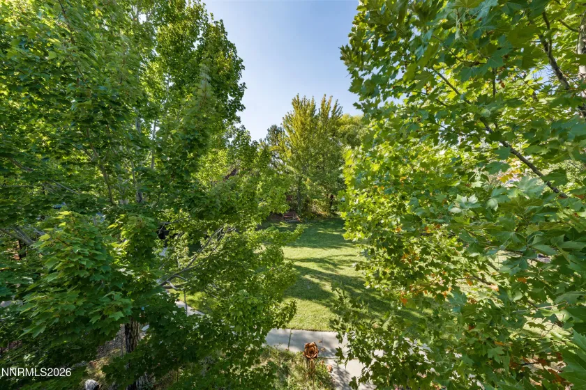 View from Primary porch