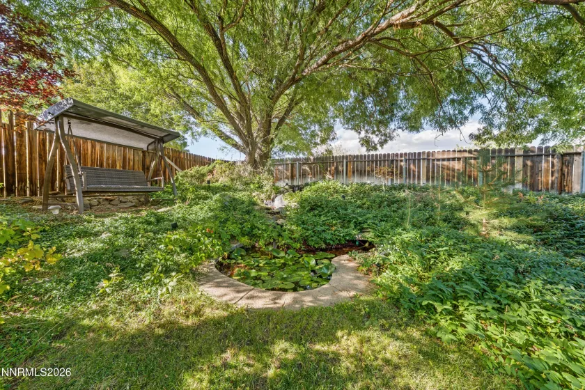 Backyard pond/waterfall