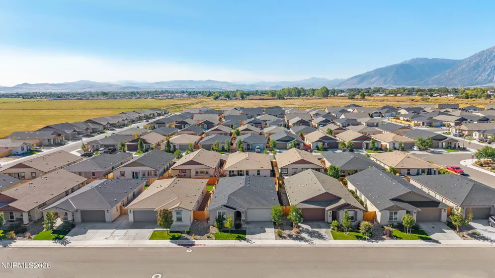 1149 Dapple, Minden, Nevada 89423, 4 Bedrooms Bedrooms, ,3 BathroomsBathrooms,Residential,Residential,Dapple,0,260012064