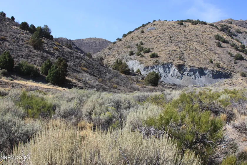 1220 Freds Mountain, Reno, Nevada 89508, ,Land,Residential,Freds Mountain,0,260012103
