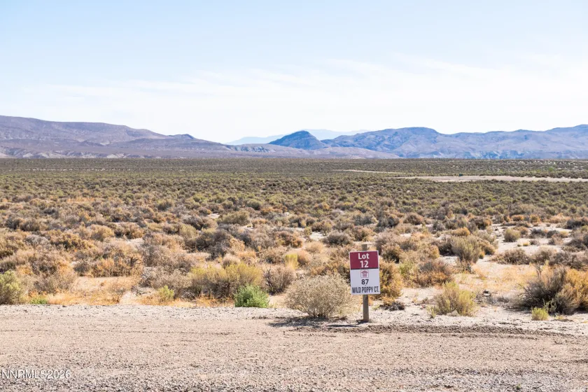 87 Wild Poppy, Smith Valley, Nevada 89430, ,Land,Residential,Wild Poppy,0,260012147