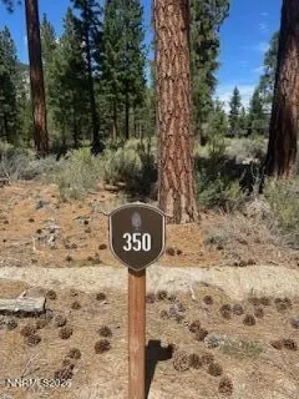 150 Redding, Carson City, Nevada 89705, ,Land,Residential,Redding,0,260005788