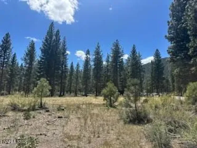 150 Redding, Carson City, Nevada 89705, ,Land,Residential,Redding,0,260005788