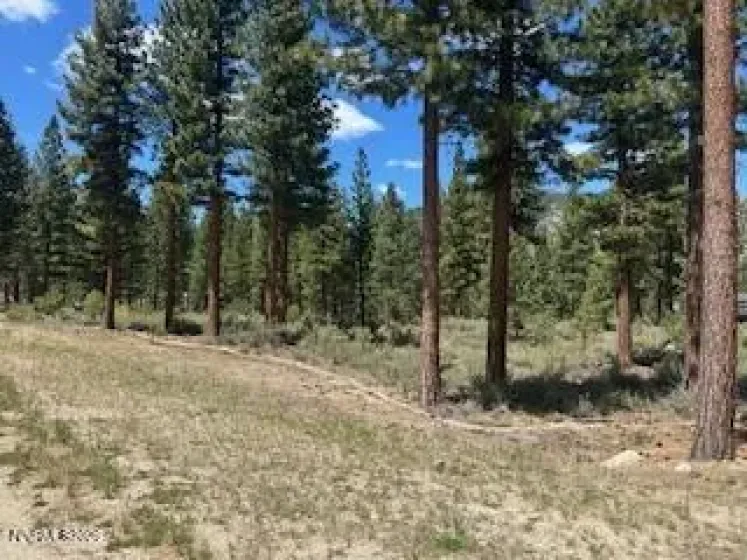 150 Redding, Carson City, Nevada 89705, ,Land,Residential,Redding,0,260005788