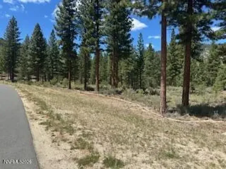 150 Redding, Carson City, Nevada 89705, ,Land,Residential,Redding,0,260005788