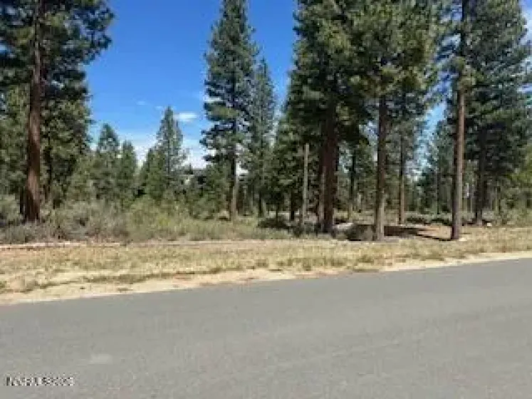 150 Redding, Carson City, Nevada 89705, ,Land,Residential,Redding,0,260005788