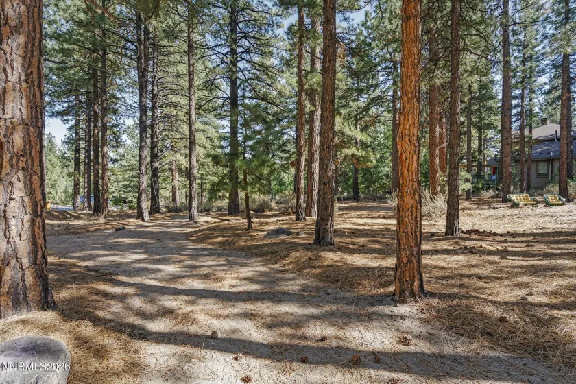1530 Austrian Pine, Reno, Nevada 89511, 5 Bedrooms Bedrooms, ,4 BathroomsBathrooms,Residential,Residential,Austrian Pine,0,260012205