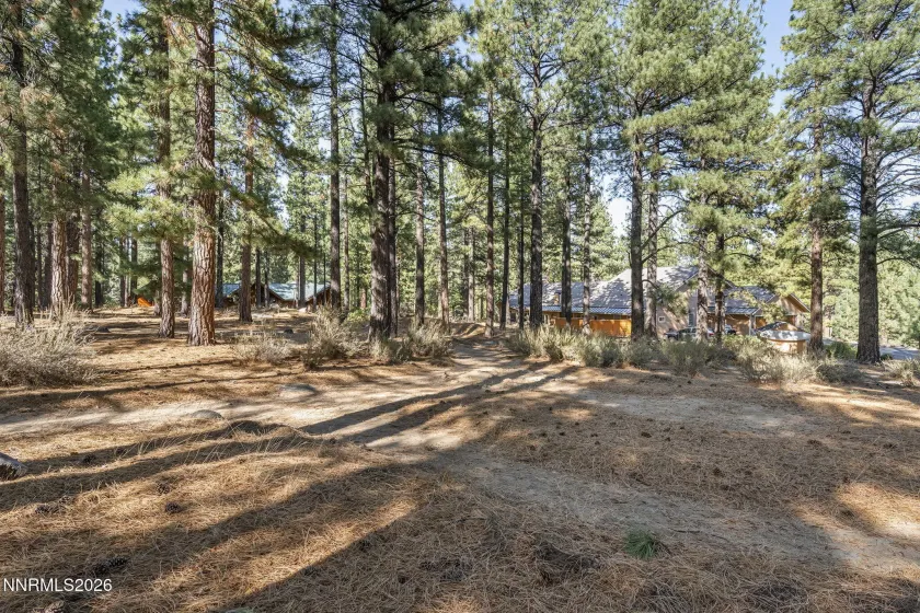 1530 Austrian Pine, Reno, Nevada 89511, 5 Bedrooms Bedrooms, ,4 BathroomsBathrooms,Residential,Residential,Austrian Pine,0,260012205