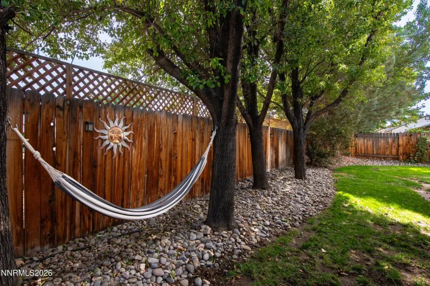 Backyard 1