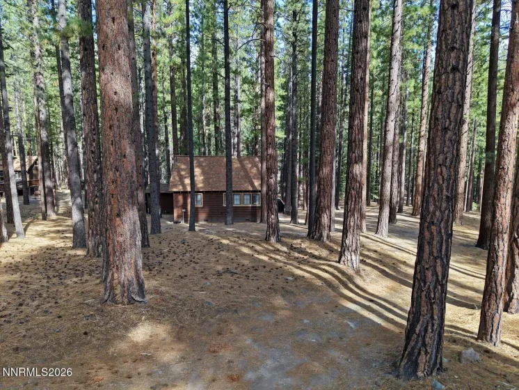 240 Shay Creek, Markleeville, California 96120, 1 Bedroom Bedrooms, ,1 BathroomBathrooms,Residential,Residential,Shay Creek,0,260012222
