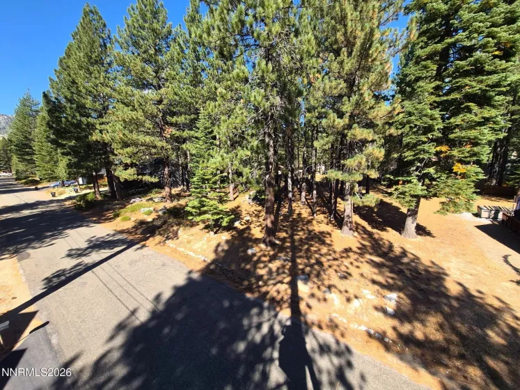 723 Cayuga, South Lake Tahoe, California 96150, ,Land,Residential,Cayuga,0,260012231